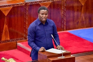 Serikali yajizatiti kuhusu mbegu feki
